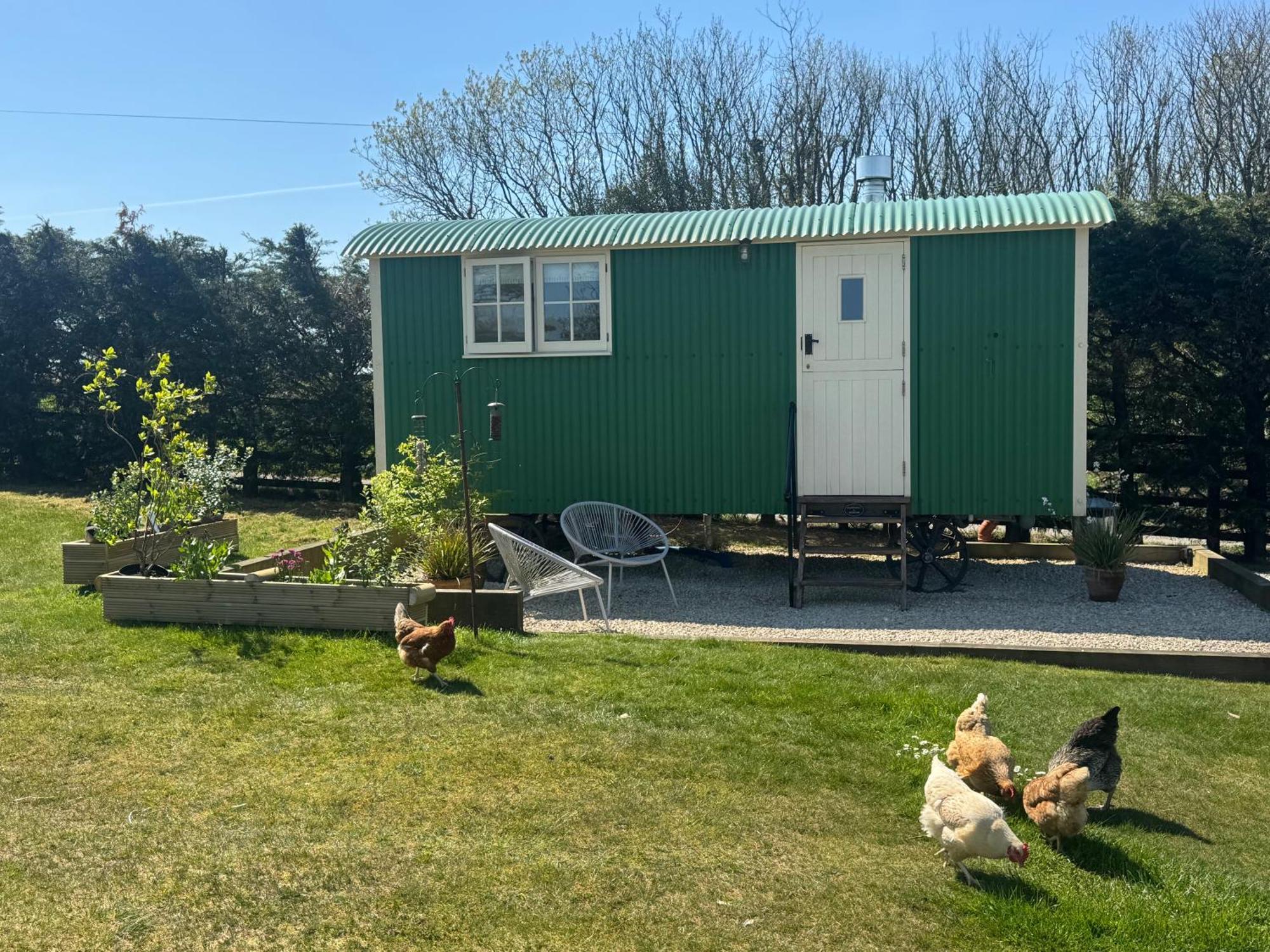 Toms Hut And Robins Rest Shepherd Huts Near Wadebridge Exterior photo